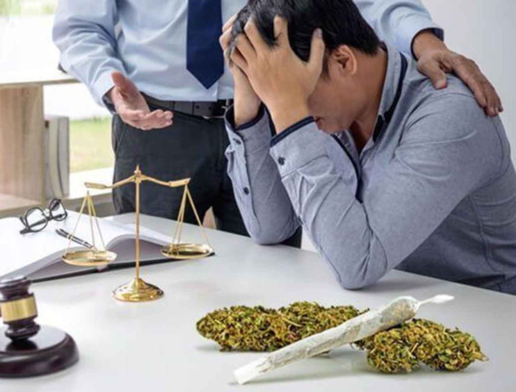 Jasa Lawyer Lampung Tengah Amankan Hak Asuh Anak Tuntas